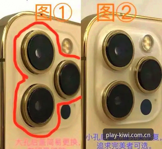 揭秘苹果手机kiwisport下载背后的真相——你踩过几个坑？